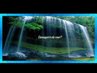 Conseguirá ela voar?

 