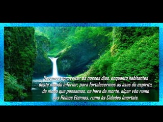 Devemos aproveitar os nossos dias, enquanto habitantes
deste mundo inferior, para fortalecermos as asas do espírito,
de modo que possamos, na hora da morte, alçar vôo rumo
aos Reinos Eternos, rumo às Cidades Imortais.

 