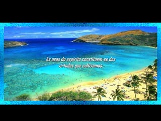 As asas do espírito constituem-se das
virtudes que cultivamos.

 