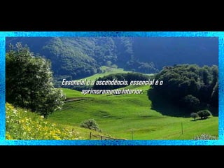 Essencial é a ascendência, essencial é o
aprimoramento interior.

 