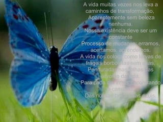 A vida muitas vezes nos leva a caminhos de transformação,  Aparentemente sem beleza nenhuma. Nossa existência deve ser um constante Processo de mudança: erramos, acertamos, aprendemos. A vida nos coloca como larvas de frágeis borboletas sem asas, Penduradas nas folhas das árvores da vida, Para cada dia irmos encontrando o caminho  Das nossas belas asas azuis. 