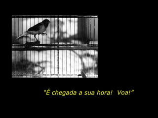 “ É chegada a sua hora!  Voa!” 