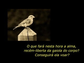 Conseguirá ela voar? O que fará nesta hora a alma, recém-liberta da gaiola do corpo ? 