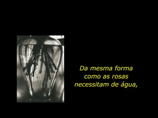 Da mesma forma como as rosas necessitam de água, 