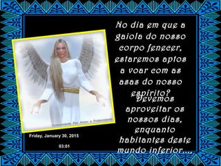 Friday, January 30, 2015
03:01
No dia em que a
gaiola do nosso
corpo fenecer,
estaremos aptos
a voar com as
asas do nosso
espírito?
Devemos
aproveitar os
nossos dias,
enquanto
habitantes deste
mundo inferior...,
 