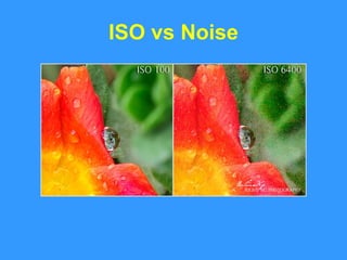 ISO vs Noise 