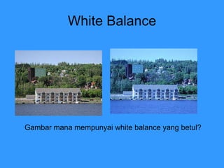 White Balance Gambar mana mempunyai white balance yang betul? 