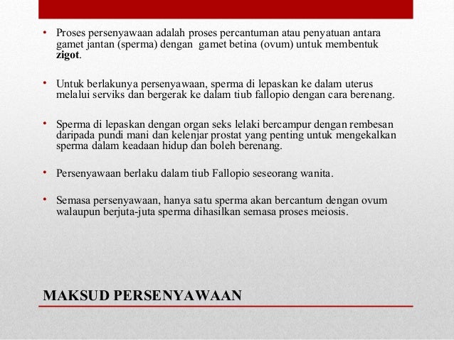 Asas Proses Persenyawaan