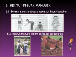 1.  6.1  Bentuk manusia dewasa mengikut kadar banding 6.2  Bentuk manusia dalam perbagai pergerakan. 6.  BENTUK FIGURA MANUSIA 