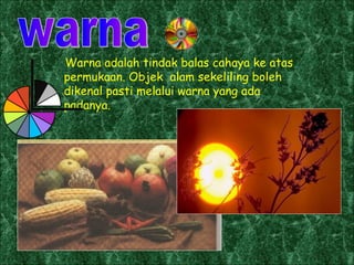 Warna adalah tindak balas cahaya ke atas permukaan. Objek  alam sekeliling boleh dikenal pasti melalui warna yang ada padanya. warna 
