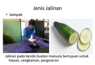 Jenis Jalinan tampak Jalinan pada benda buatan manusia bertujuan untuk hiasan, cengkaman, pergeseran 