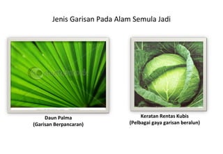 Jenis Garisan Pada Alam Semula Jadi Daun Palma (Garisan Berpancaran) Keratan Rentas Kubis (Pelbagai gaya garisan beralun) 
