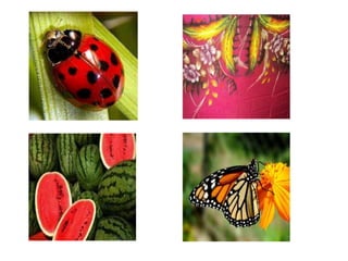 psv 3104 Asas seni reka | PPT