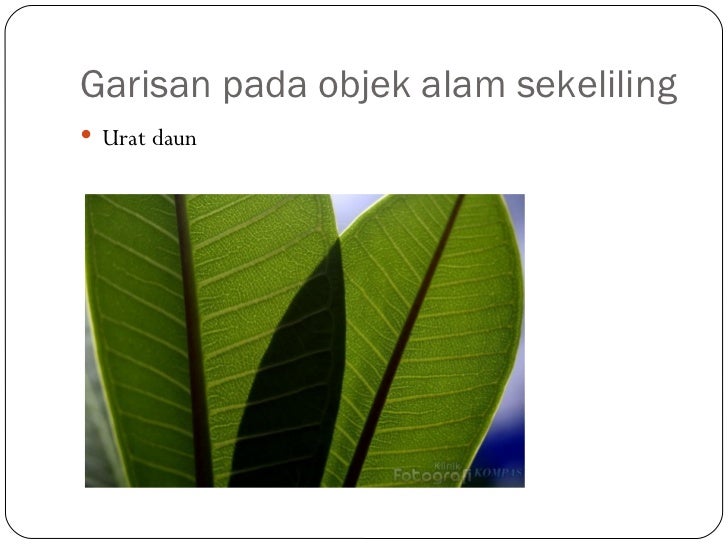 Asas seni reka one