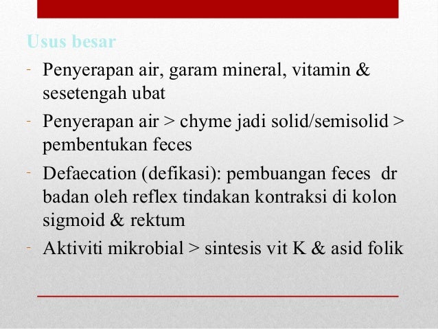 Asas sistem gastrousus