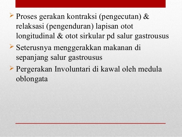 Asas sistem gastrousus