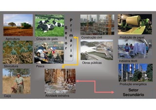 Agricultura

Criação de gado

S
e
t
o
r

P
r
i
m
á
r
i
o

Construção civil

Obras públicas
Silvicultura

Produção de papel

Indústria têxtil

Pesca

Produção energética

Caça

Atividade extrativa

Setor
Secundário

 
