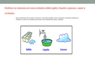 Distribui na natureza em seus estados sólido (gelo), líquido e gasoso ,vapor e
umidade.
• Ela é importante não só para o consumo, mas serve também como morada de incontáveis espécies e
interfere no clima e na dinâmica dos seres vivos distribuídos sobre o planeta.