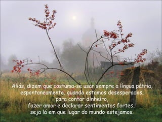 Aliás, dizem que costuma-se usar sempre a língua pátria, espontaneamente, quando estamos desesperados, para contar dinheiro,  fazer amor e declarar sentimentos fortes,  seja lá em que lugar do mundo estejamos. 
