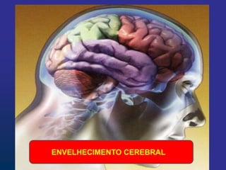 ENVELHECIMENTO CEREBRAL
 