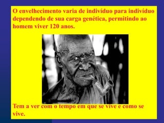 O envelhecimento varia de indivíduo para indivíduo
dependendo de sua carga genética, permitindo ao
homem viver 120 anos.
Tem a ver com o tempo em que se vive e como se
vive.
 