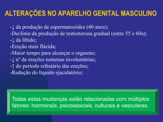 ALTERAÇÕES NO APARELHO GENITAL MASCULINO
-↓ da produção de espermatozódes (40 anos);
-Declínio da produção de testosterona gradual (entre 55 e 60a);
-↓ da libido;
-Ereção mais flácida;
-Maior tempo para alcançar o orgasmo;
-↓ nº de ereções noturnas involuntárias;
-↑ do período refratário das ereções;
-Redução do líquido ejaculatório;
Todas estas mudanças estão relacionadas com múltiplos
fatores: hormonais, psicossociais, culturais e vasculares.
 