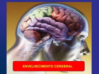 ENVELHECIMENTO CEREBRAL
 