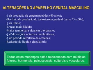 ALTERAÇÕES NO APARELHO GENITAL MASCULINO
-↓ da produção de espermatozódes (40 anos);
-Declínio da produção de testosterona gradual (entre 55 e 60a);
-↓ da libido;
-Ereção mais flácida;
-Maior tempo para alcançar o orgasmo;
-↓ nº de ereções noturnas involuntárias;
-↑ do período refratário das ereções;
-Redução do líquido ejaculatório;
Todas estas mudanças estão relacionadas com múltiplos
fatores: hormonais, psicossociais, culturais e vasculares.
 