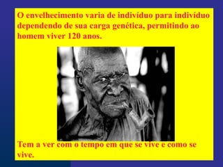O envelhecimento varia de indivíduo para indivíduo
dependendo de sua carga genética, permitindo ao
homem viver 120 anos.
Tem a ver com o tempo em que se vive e como se
vive.
 