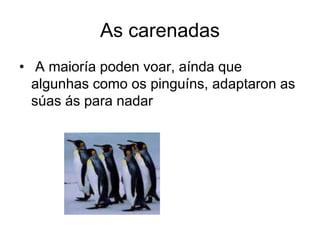 As carenadas 
• A maioría poden voar, aínda que 
algunhas como os pinguíns, adaptaron as 
súas ás para nadar 
 