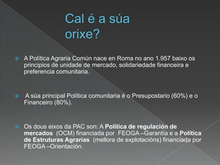  A Política Agraria Común nace en Roma no ano 1.957 baixo os
principios de unidade de mercado, solidariedade financeira e
preferencia comunitaria.
 A súa principal Política comunitaria é o Presupostario (60%) e o
Financeiro (80%).
 Os dous eixos da PAC son: A Política de regulación de
mercados (OCM) financiada por FEOGA –Garantía e a Política
de Estruturas Agrarias (mellora de explotacións) financiada por
FEOGA –Orientación.
 