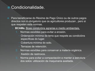  Condicionalidade.
 Para beneficiarse do Réxime de Pago Único ou de outros pagos
directos non é obrigatorio que os agricultores produzan , pero si
que respeten esta normas.
› BCAMs. Boas condicións agrarias e medio ambientais.
1. Normas esixibles para evitar a erosión.
 Ordenación mínima da terra que respete as condicións
específicas do lugar.
 Cobertura mínima do solo.
 Terrazas de retención.
2. Normas esixibles para conservar a materia orgánica.
 Xestión de rastroxos.
3. Norma para evitar a compactación e manter a estrutura
dos solos: utilización da maquinaria axeitada.
 