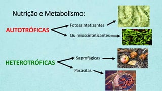 Nutrição e Metabolismo:
AUTOTRÓFICAS
Fotossintetizantes
Quimiossintetizantes
HETEROTRÓFICAS
Saprofágicas
Parasitas
 