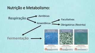Nutrição e Metabolismo:
Respiração
Aeróbicas
Anaeróbicas
Fermentação
Facultativas
Obrigatórias (Restrita)
 