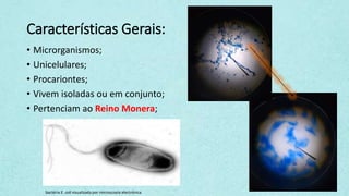Características Gerais:
• Microrganismos;
• Unicelulares;
• Procariontes;
• Vivem isoladas ou em conjunto;
• Pertenciam ao Reino Monera;
bactéria E. coli visualizada por microscopia electrónica
 