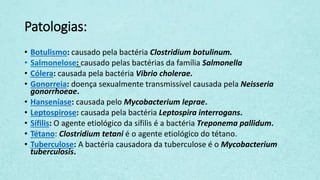 Patologias:
• Botulismo: causado pela bactéria Clostridium botulinum.
• Salmonelose: causado pelas bactérias da família Salmonella
• Cólera: causada pela bactéria Vibrio cholerae.
• Gonorreia: doença sexualmente transmissível causada pela Neisseria
gonorrhoeae.
• Hanseníase: causada pelo Mycobacterium leprae.
• Leptospirose: causada pela bactéria Leptospira interrogans.
• Sífilis: O agente etiológico da sífilis é a bactéria Treponema pallidum.
• Tétano: Clostridium tetani é o agente etiológico do tétano.
• Tuberculose: A bactéria causadora da tuberculose é o Mycobacterium
tuberculosis.
 