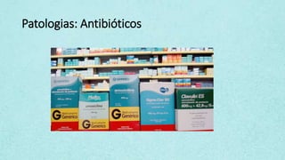 Patologias: Antibióticos
 