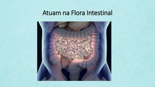Atuam na Flora Intestinal
 