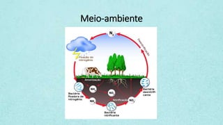 Meio-ambiente
 