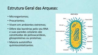 Estrutura Geral das Arqueas:
• Microrganismos;
• Procariontes;
• Vivem em ambientes extremos;
• Difere das bactérias pelo seu RNA
e suas paredes celulares são
constituídas de polissacarídeos,
glicoproteínas ou proteínas;
• Maioria autotrófica
quimiossintetizantes.
 