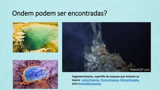 Ondem podem ser encontradas?
Asgardarchaeota, superfilo de arqueas que incluem os
táxons Lokiarchaeota, Thorarchaeota, Odinarchaeota,
and Heimdallarchaeota.
 
