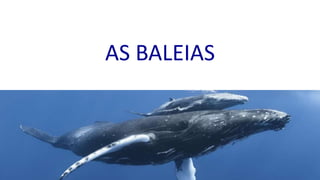 AS BALEIAS
 