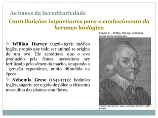 As bases da hereditariedade
 Willian Harvey (1578-1657): médico
inglês, propôs que todo ser animal se origina
de um ovo. Ele acreditava que o ovo
produzido pela fêmea necessitava ser
fertilizado pelo sêmen do macho, se opondo a
geração espontânea, muito difundida na
época.
 Nehemia Grew (1641-1711): botânico
inglês, sugeriu ser o grão de pólen o elemento
masculino das plantas com flores.
Contribuições importantes para o conhecimento da
herança biológica
Figura 3 - Willian Harvey: primeiras
ideias sobre fertilização.
BIOLOGIA, 3º Ano do Ensino Médio
As bases da hereditariedade
Imagem: SS-harvey / autor: Cornelius Jansen / public
domain
 