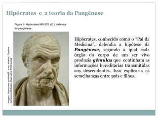 Hipócrates e a teoria da Pangênese
Hipócrates, conhecido como o “Pai da
Medicina”, defendia a hipótese da
Pangênese, segundo a qual cada
órgão do corpo de um ser vivo
produzia gêmulas que continham as
informações hereditárias transmitidas
aos descendentes. Isso explicaria as
semelhanças entre pais e filhos.
Figura 1- Hipócrates(460-370 aC.): defensor
da pangênese.
BIOLOGIA, 3º Ano do Ensino Médio
As bases da hereditariedadeImagem:Hippocratespushkin02/autor:shakko/Creative
CommonsAttribution-ShareAlike3.0Unported
 