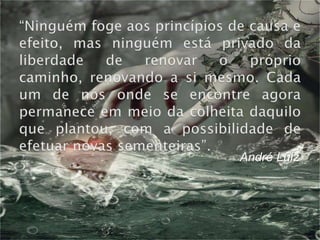 André Luiz
 
