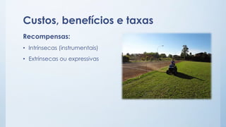 Custos, benefícios e taxas
Recompensas:
• Intrínsecas (instrumentais)
• Extrínsecas ou expressivas
 