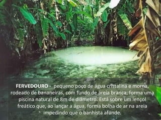 FERVEDOURO - pequeno poço de água cristalina e morna,
rodeado de bananeiras, com fundo de areia branca, forma uma
piscina natural de 8m de diâmetro. Está sobre um lençol
freático que, ao lançar a água, forma bolha de ar na areia
impedindo que o banhista afunde.
 