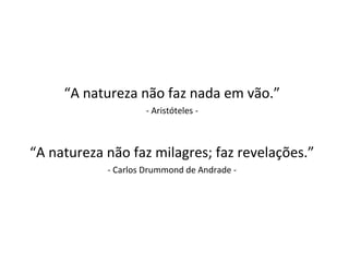 “A natureza não faz nada em vão.”
- Aristóteles -
“A natureza não faz milagres; faz revelações.”
- Carlos Drummond de Andrade -
 