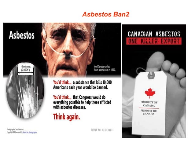 Gorgeous Asbestos 2012 Photo Art Gorgeous Asbestos 2012 Photo Art