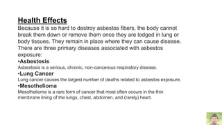 Health Effects
Because it is so hard to destroy asbestos fibers, the body cannot
break them down or remove them once they are lodged in lung or
body tissues. They remain in place where they can cause disease.
There are three primary diseases associated with asbestos
exposure:
•Asbestosis
Asbestosis is a serious, chronic, non-cancerous respiratory disease.
•Lung Cancer
Lung cancer causes the largest number of deaths related to asbestos exposure.
•Mesothelioma
Mesothelioma is a rare form of cancer that most often occurs in the thin
membrane lining of the lungs, chest, abdomen, and (rarely) heart.
 
